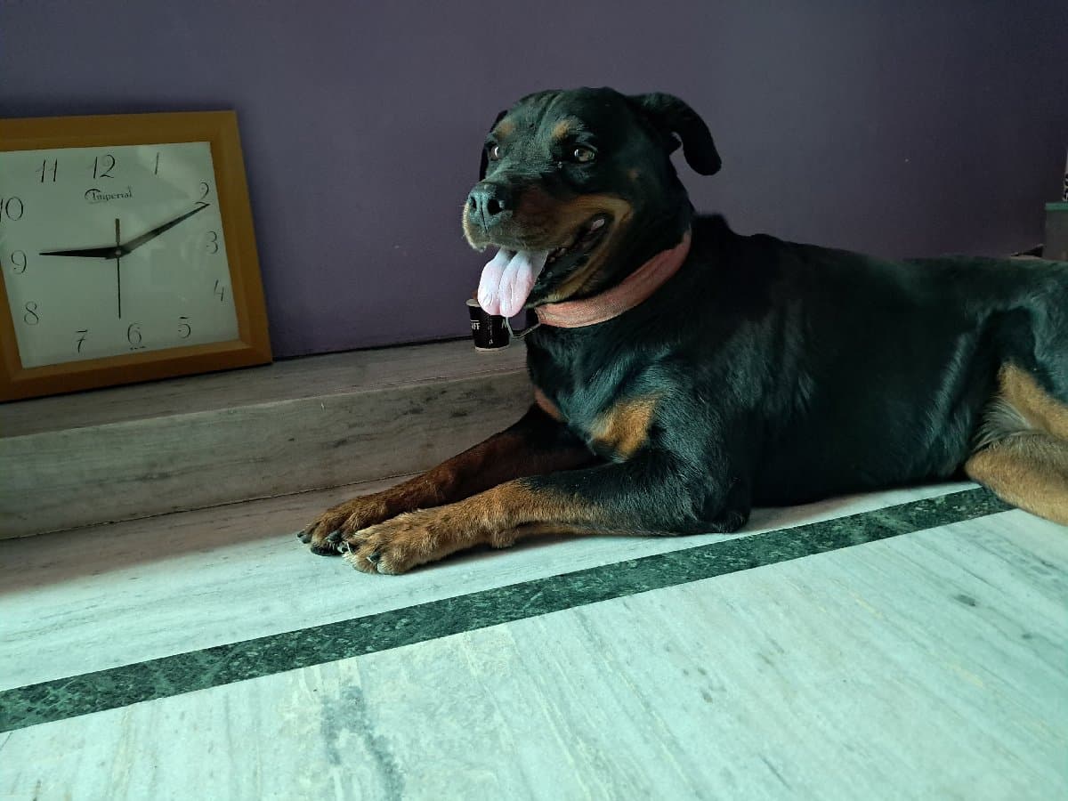 Unnati's home photo 5