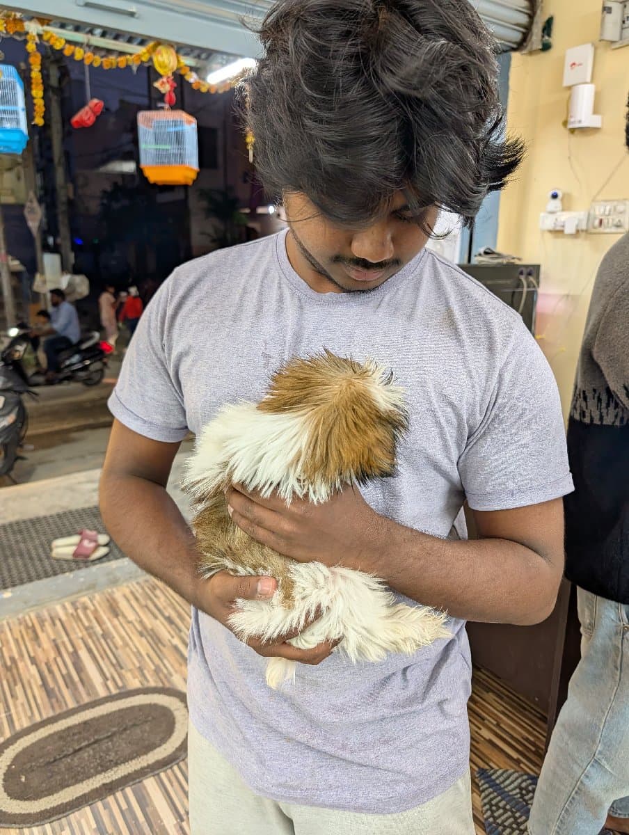 Sai's profile photo